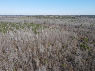 Sportsmen's Paradise South Arkansas - image 19