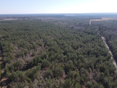 Sportsmen's Paradise South Arkansas - image 32