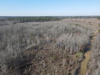 Sportsmen's Paradise South Arkansas - image 20