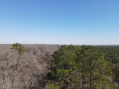 Sportsmen's Paradise South Arkansas - image 23
