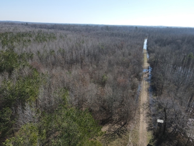 Sportsmen's Paradise South Arkansas - image 16