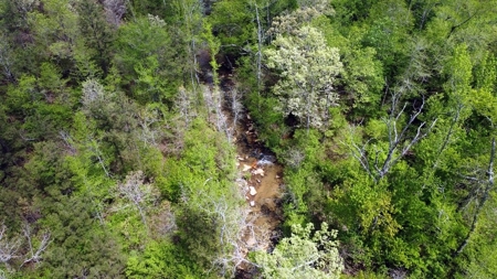 161.64 Acres Of Recreational/Hunting Land 4 Sale In Nashoba - image 14
