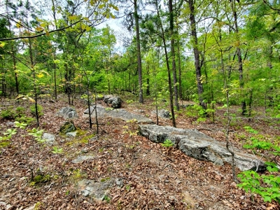 161.64 Acres Of Recreational/Hunting Land 4 Sale In Nashoba - image 33