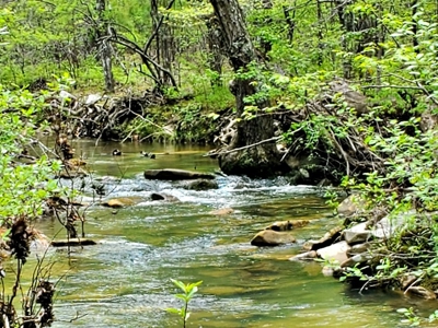 161.64 Acres Of Recreational/Hunting Land 4 Sale In Nashoba - image 26