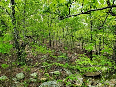 161.64 Acres Of Recreational/Hunting Land 4 Sale In Nashoba - image 3