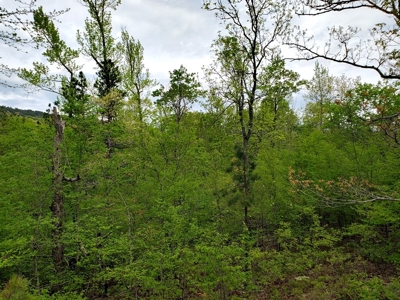 161.64 Acres Of Recreational/Hunting Land 4 Sale In Nashoba - image 28