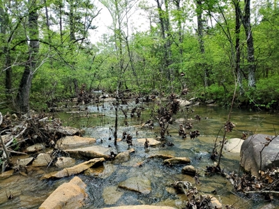 161.64 Acres Of Recreational/Hunting Land 4 Sale In Nashoba - image 20