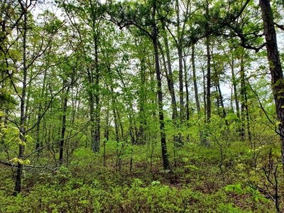 161.64 Acres Of Recreational/Hunting Land 4 Sale In Nashoba - image 30