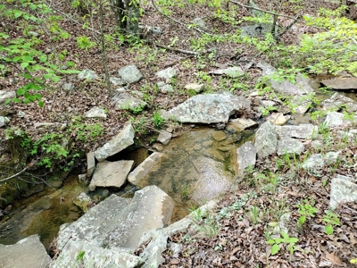 161.64 Acres Of Recreational/Hunting Land 4 Sale In Nashoba - image 2