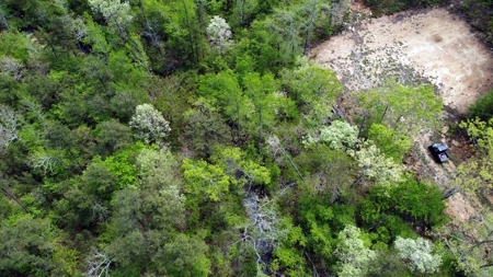 161.64 Acres Of Recreational/Hunting Land 4 Sale In Nashoba - image 15