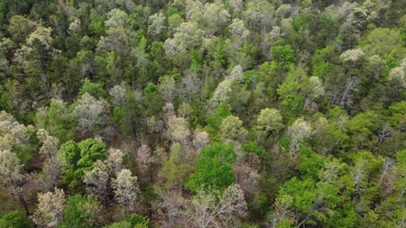 161.64 Acres Of Recreational/Hunting Land 4 Sale In Nashoba - image 9