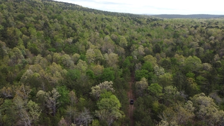 161.64 Acres Of Recreational/Hunting Land 4 Sale In Nashoba - image 12