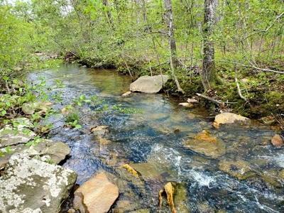 161.64 Acres Of Recreational/Hunting Land 4 Sale In Nashoba - image 21