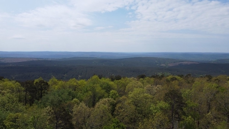 161.64 Acres Of Recreational/Hunting Land 4 Sale In Nashoba - image 5