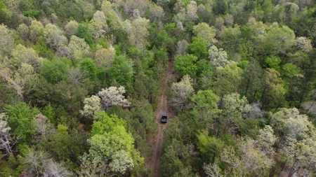161.64 Acres Of Recreational/Hunting Land 4 Sale In Nashoba - image 11