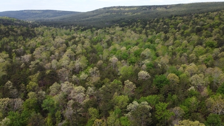 161.64 Acres Of Recreational/Hunting Land 4 Sale In Nashoba - image 10