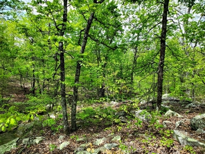 161.64 Acres Of Recreational/Hunting Land 4 Sale In Nashoba - image 34