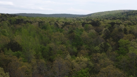 161.64 Acres Of Recreational/Hunting Land 4 Sale In Nashoba - image 13