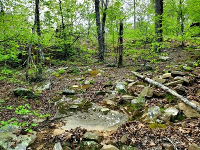 161.64 Acres Of Recreational/Hunting Land 4 Sale In Nashoba - image 27