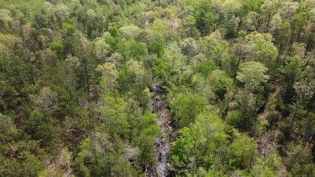 161.64 Acres Of Recreational/Hunting Land 4 Sale In Nashoba - image 8