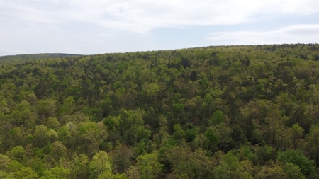 60.56 Acres Hunting/Recreational Land In Pushmataha County - image 5