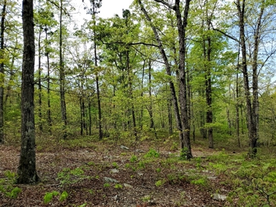 60.56 Acres Hunting/Recreational Land In Pushmataha County - image 13