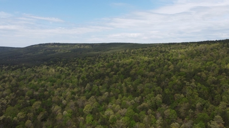 60.56 Acres Hunting/Recreational Land In Pushmataha County - image 6