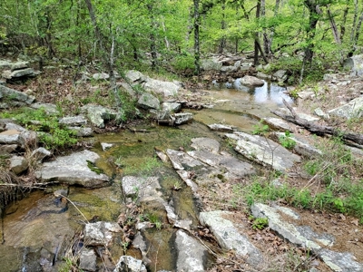 60.56 Acres Hunting/Recreational Land In Pushmataha County - image 22