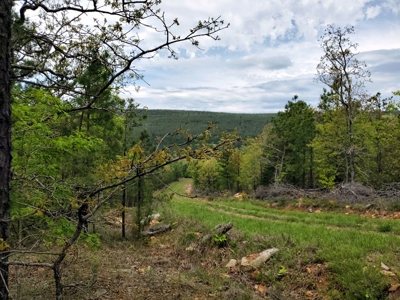60.56 Acres Hunting/Recreational Land In Pushmataha County - image 14