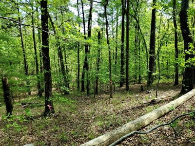 60.56 Acres Hunting/Recreational Land In Pushmataha County - image 19