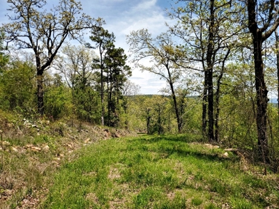 60.56 Acres Hunting/Recreational Land In Pushmataha County - image 10