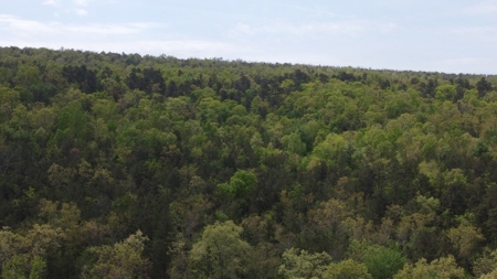 60.56 Acres Hunting/Recreational Land In Pushmataha County - image 3