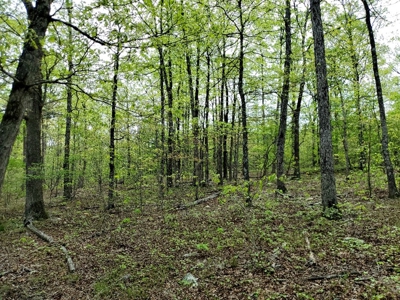 60.56 Acres Hunting/Recreational Land In Pushmataha County - image 15