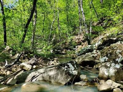 60.56 Acres Hunting/Recreational Land In Pushmataha County - image 11
