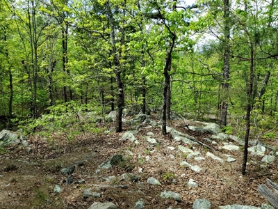 60.56 Acres Hunting/Recreational Land In Pushmataha County - image 12