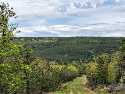 60.56 Acres Hunting/Recreational Land In Pushmataha County - image 2