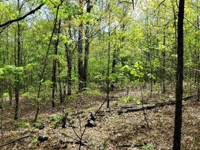 60.56 Acres Hunting/Recreational Land In Pushmataha County - image 21