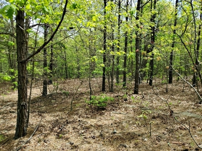60.56 Acres Hunting/Recreational Land In Pushmataha County - image 20