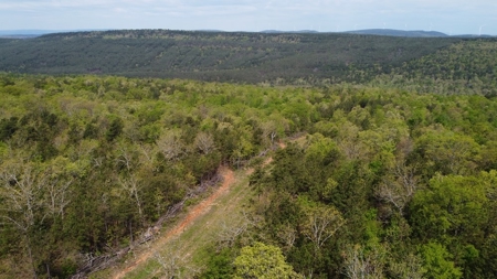 90.68 Acres Hunting/Recreational Land In Nashoba Oklahoma - image 2