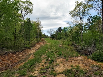 90.68 Acres Hunting/Recreational Land In Nashoba Oklahoma - image 8