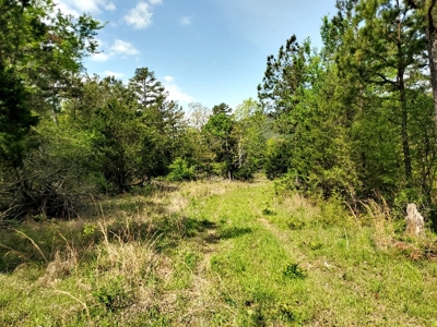 90.68 Acres Hunting/Recreational Land In Nashoba Oklahoma - image 9