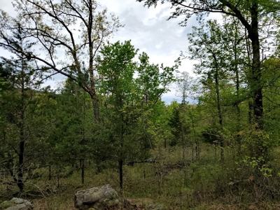 90.68 Acres Hunting/Recreational Land In Nashoba Oklahoma - image 16