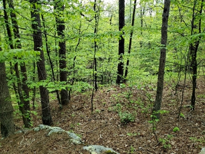 90.68 Acres Hunting/Recreational Land In Nashoba Oklahoma - image 15