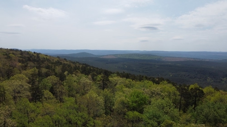 90.68 Acres Hunting/Recreational Land In Nashoba Oklahoma - image 1