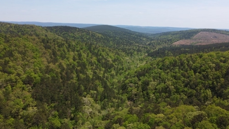 90.68 Acres Hunting/Recreational Land In Nashoba Oklahoma - image 5