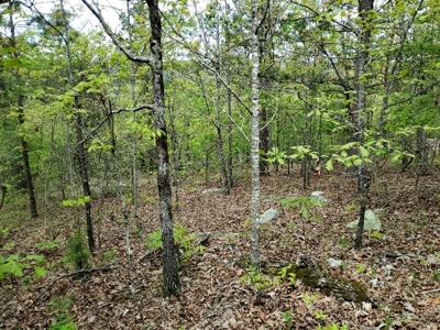 90.68 Acres Hunting/Recreational Land In Nashoba Oklahoma - image 18