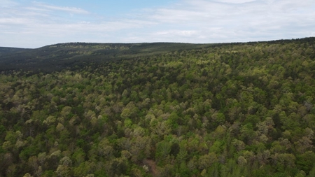 90.68 Acres Hunting/Recreational Land In Nashoba Oklahoma - image 3