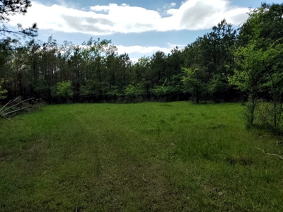 90.68 Acres Hunting/Recreational Land In Nashoba Oklahoma - image 10
