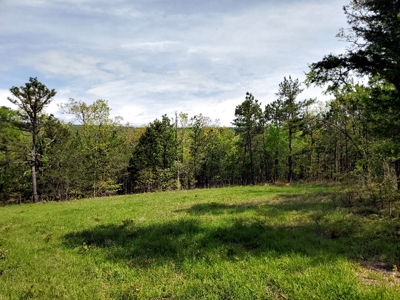90.68 Acres Hunting/Recreational Land In Nashoba Oklahoma - image 19