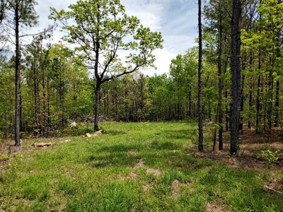 90.68 Acres Hunting/Recreational Land In Nashoba Oklahoma - image 11